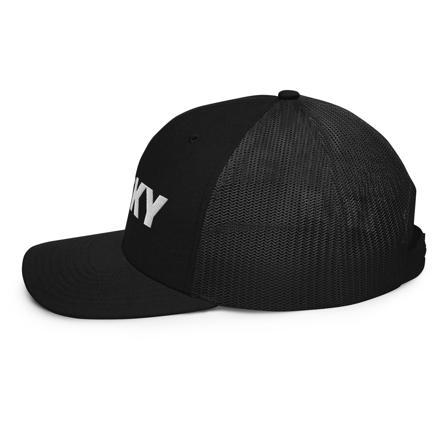 FRISKY Trucker hat in black